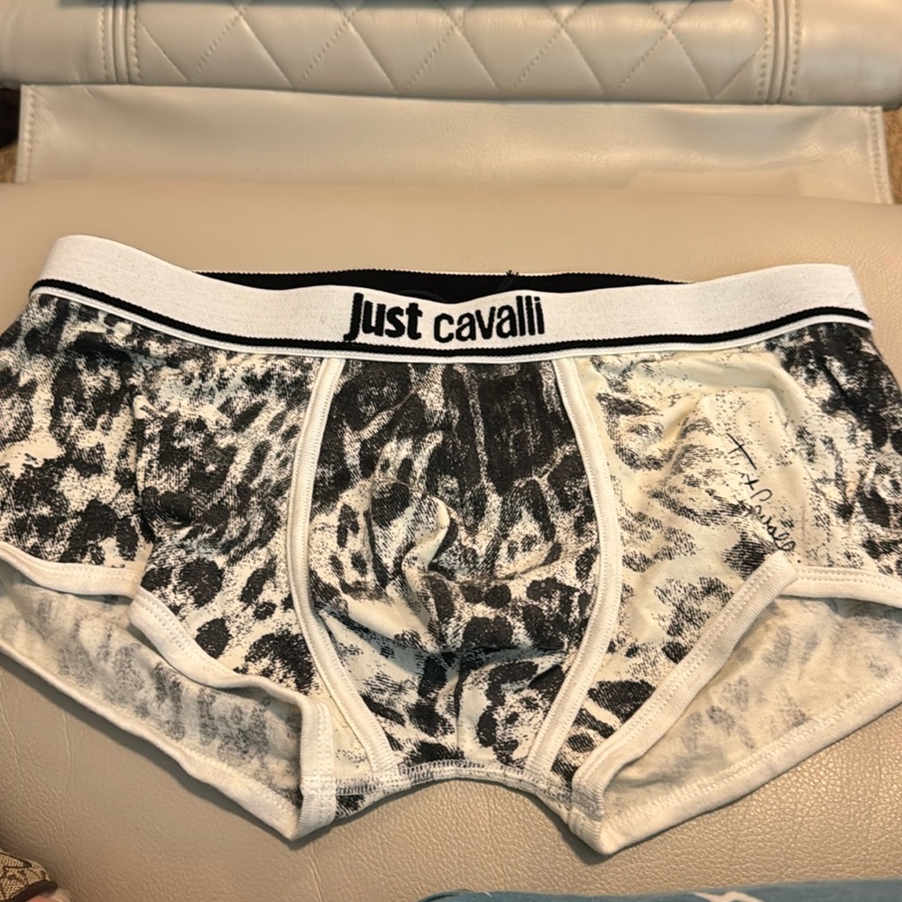 Roberto Cavalli | Boxer | large